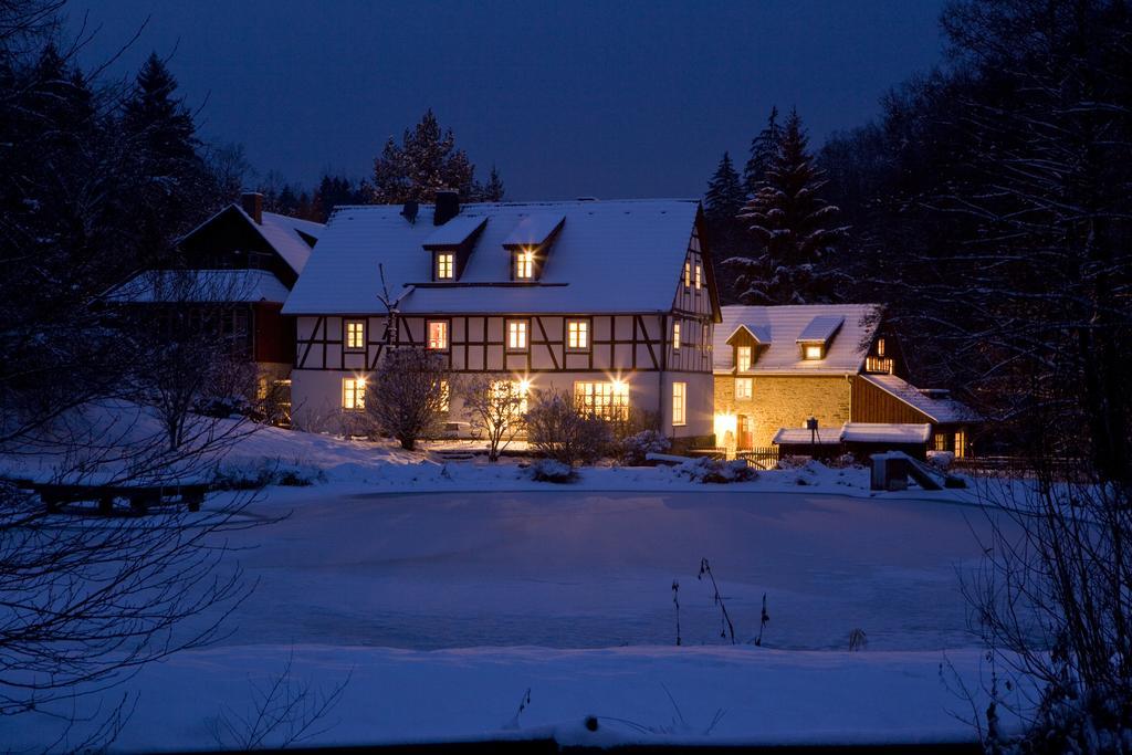 Romantik Hotel Landhaus Baerenmuehle Frankenau Exteriör bild